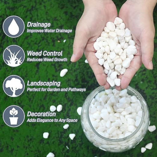 Mulctun 2Lb White Rocks for Plants, 1/4"-3/4" White Pebbles, Decorative Stones for Vases, Small Aquarium Gravel for Fish Tank Garden Rocks for Potted Plants & Home Decor (Pack of 2)