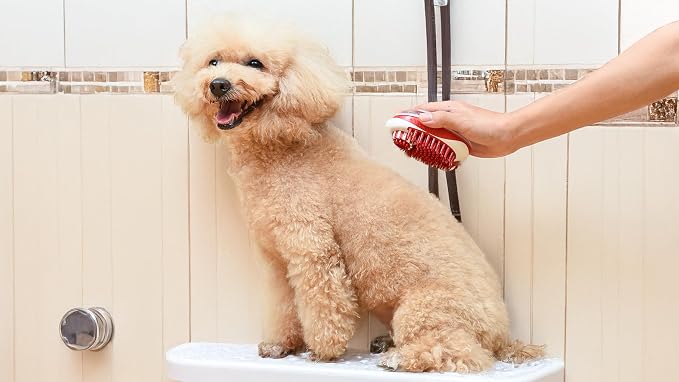 CHI for Dogs Soap Dispensing Palm Brush, Handheld Dog Bathing Scrubber with Built-In Shampoo Dispenser, Soft Rubber Bristles for Massaging and Deep Cleaning All Dog Coat Types, Red