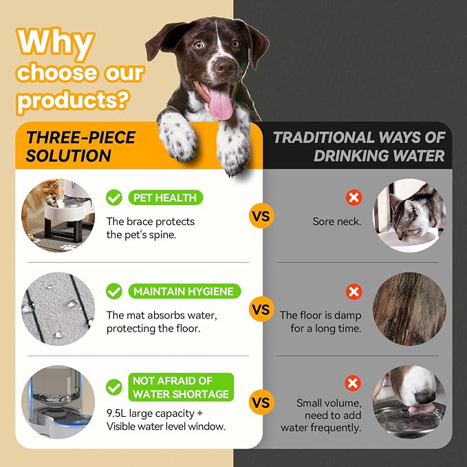 CZPET Elevated Dog Water Bowl Dispenser for Large Dogs (9.5L+Stand,White) | With Stainless Steel Bowl Gravity Waterer, Large Capacity and Drinking Area Noise-Free for Pets