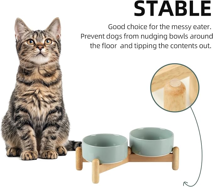 Havniva Elevated Dog Bowls Ceramic Dog Bowls with Stand, Dog Food Bowl | 5.1” Raised Dog Bowls with Non-Slip Wood Stand, Dog Food and Water Bowl Set, Double Dog Feeding Bowls for Small Dogs