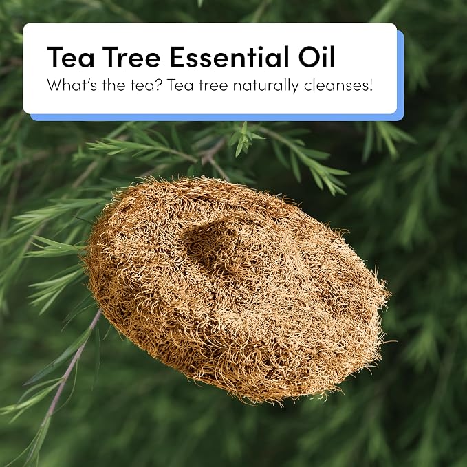 TUSHY Tea Tree Coconut Husk Scrubbing Pads, 16 Pack: Planet Friendly Cleanser-Infused Pads (No Toilet Bowl Cleaner Needed), TUSHY Toilet Brush 2.0 Refills