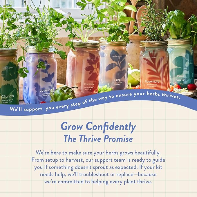 Modern Sprout Mason Garden Jar + Replant Kit - Self-Watering Hydroponics Growing System Kit w/Organic Herb Seeds - Jar Planter for Indoor Herb Garden - Seed Starter - Gift for Mother's Day - Lavender