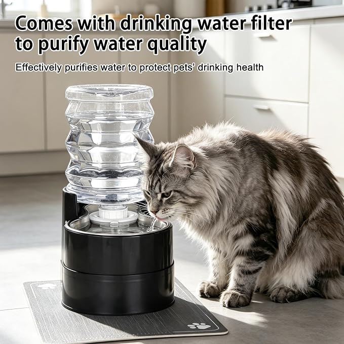 RIZZARI 5L Automatic Cat Water Dispenser: Elevated Filtered Cat Bowl | Durable Construction/Stable Base/Gravity Water Flow/Odor Reduction Filter/Elevated Drinking Position/Ideal for Indoor Spaces