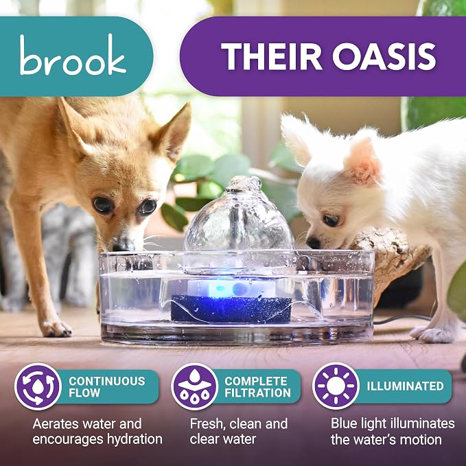 Brook Glass Cat Water Fountain 90oz – Dishwasher Safe Pet & Dog Fountain | Automatic 2.7L drinking water dispenser – quiet, easy to clean glass bowl, filters included – for indoor cats, kittens & dogs