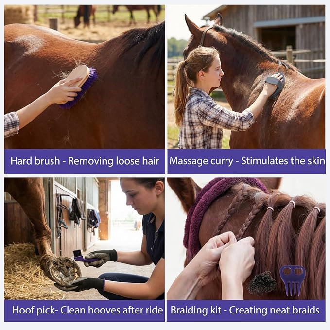 13 Piece Horse Grooming Kit, Complete Horse Brush Set & Curry Comb, Horse Brushes for Grooming with Tote Bag, Tack Room Supplies for Effective Bathing Massaging, Gift for Horses Owners (Purple)