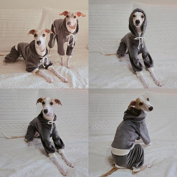 D Doggy Star Italian Greyhound Clothes, Corduroy Velvet Hooded Jumpsuit, Stretchy and Cozy (M,Hoodie Charcoal)