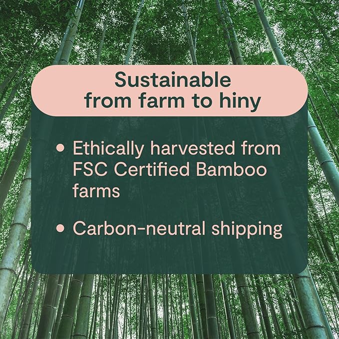 ecoHiny Premium & Soft Bamboo Toilet Paper | PFAS Free | 48 Mega Rolls, 3 ply & 350 Sheets | Non Toxic, FSC Certified, Septic Safe, BPA Free | Tree Free Toilet Tissue | Plastic Free Packaging