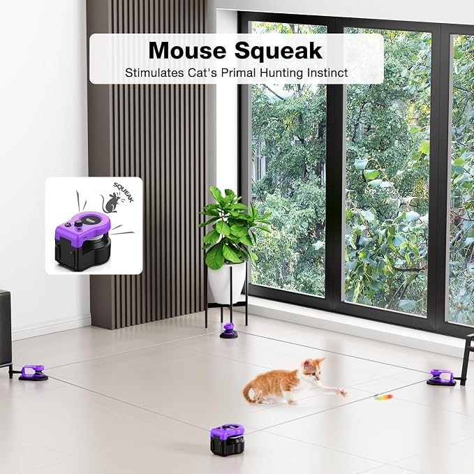 Interactive Cat Toys for Indoor Cats, Cat Treadmill Auto/Remote Control DIY Cat Mouse Hunting Toys, Keep Bored Kitten Dog Entertained to Chase, Feather Toy to Exercise Wheel-Purple