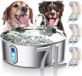 Smartoo 7L/236oz Stainless Steel Dog Water Fountain for Large Dogs,6Filters | 25dB Ultra-Quiet Automatic Pet Water Dispenser with Deeper Bowl, 4-Stage Filtration,Ideal for Big Breeds,Multi-Pet Households