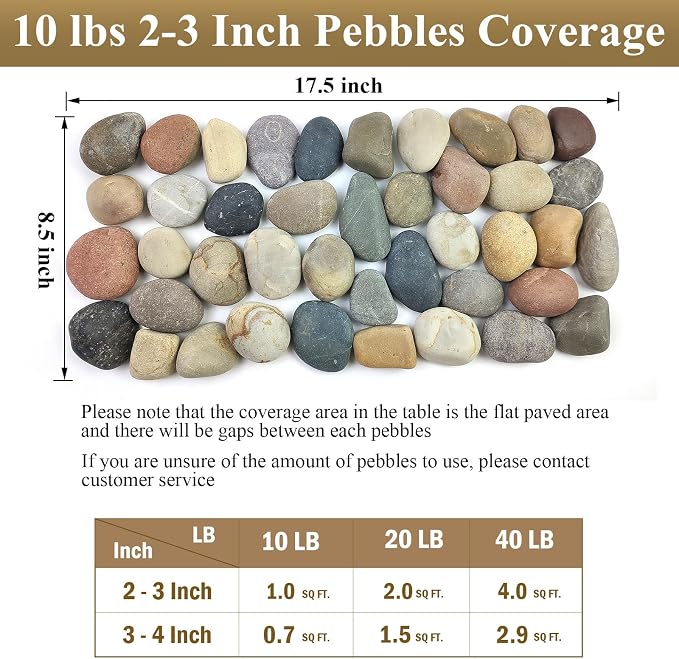 FANTIAN 5 lbs Natural Aquarium Rocks, 2-3 Inch River Rocks for Plant | Large Stones, Decorative Rock Pebbles for Plant, Fish Tank, Garden Paving, Fountain, Walkway, Outdoor Landscaping