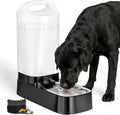 Automatic Dog Water Bowl Dispenser with Filter - 2.4 Gal Large Gravity Auto Pet Water Feeder Waterer with Stainless Steel Bowl & Easy Carry Handle for Large Dog Cat Multi Pet Use