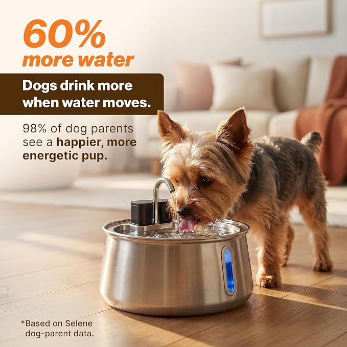 Selene Wireless Doggy Fountain, 7L (1.85 Gal) Cordless Dog Water Fountain for Dogs Inside, Stainless Steel Pet Fountain, 4-Layer Filtration, 30-Day Battery