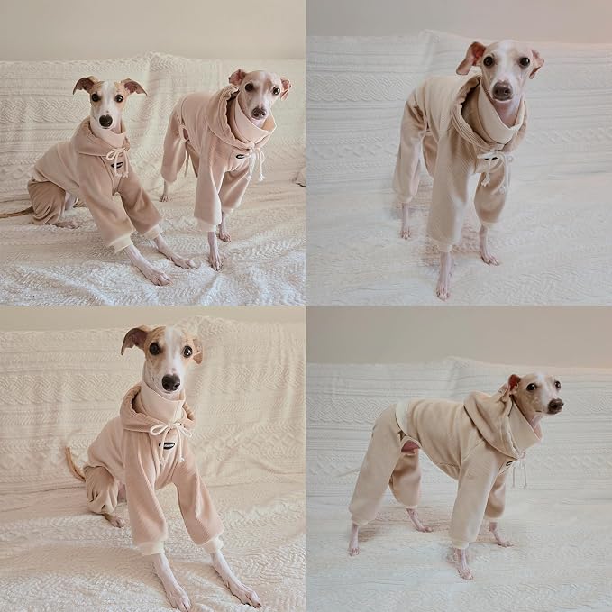 D Doggy Star Italian Greyhound Clothes, Corduroy Velvet Hooded Jumpsuit, Stretchy and Cozy (2XL,Hoodie Beige)