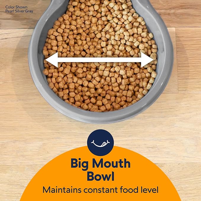 Petmate Replendish Automatic Dog Feeder Gravity Pet Treat Dispenser with Microban Protection Base, Wide Mouth Bowl, 100% BPA Free - 10 lb