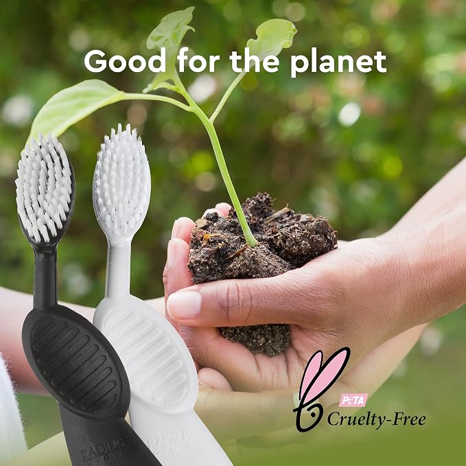 RADIUS Flex Brush with Soft Bristles Toothbrush BPA Free & ADA Accepted Designed to Improve Gum Health & Reduce Issues - Left Hand - Assorted - Pack of 6