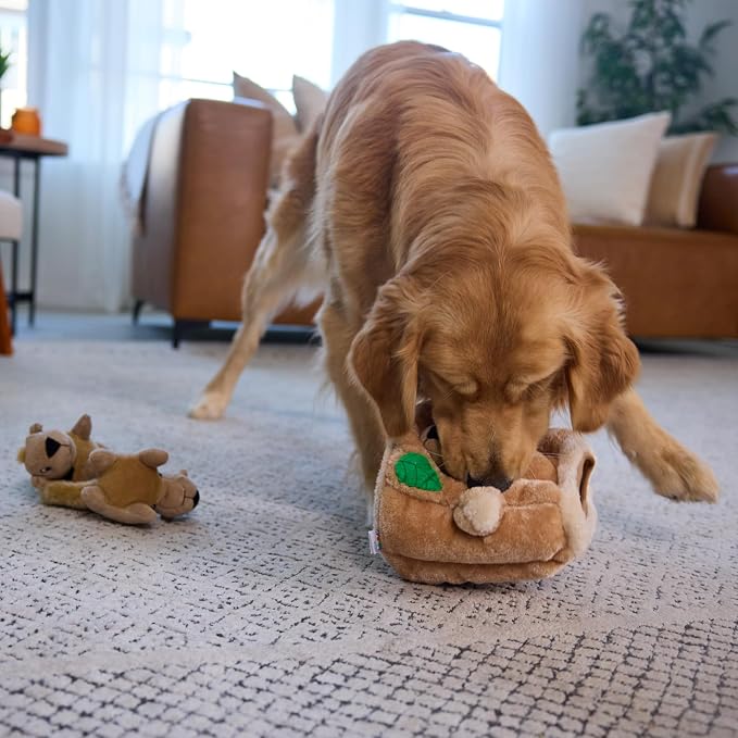 Outward Hound Hide-A-Squirrel Dog Toy – Interactive 2‑in‑1 Plush Puzzle with 3 Squeaky Removable Squirrels, Large