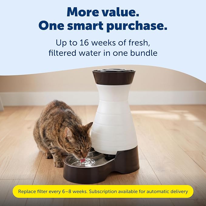 PetSafe Healthy Pet Food & Water Station, Medium, 2-Pack Filters | Gravity Food & Water Station, 4 lb food, 128 oz Water, Dishwasher-Safe Stainless Bowl, Extra Filters