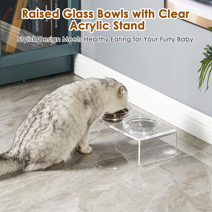 Feoyoho Elevated Acrylic Pet Bowl Stand – Raised Cat & Dog Bowls with 2 Glass & 2 Stainless Steel Bowls, Modern Clear Design, Non-Slip, Easy to Clean, Perfect for Small Pets, 3.75" Tall