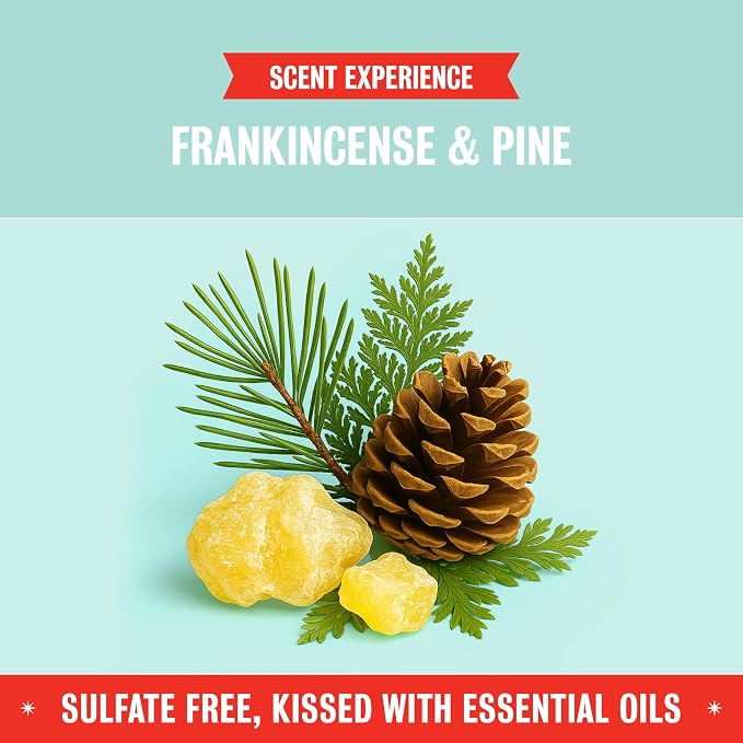 Rebel Green Super Deluxe Dish Soap - Plant-Based Sustainable Dishwashing Soap - Frankincense & Pine Scent - 16 fl oz - 1 Pack