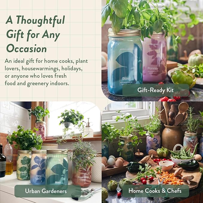 Modern Sprout Mason Garden Jar + Replant Kit - Self-Watering Hydroponics Growing System Kit w/Organic Herb Seeds - Jar Planter for Indoor Herb Garden - Seed Starter - Gift for Mother's Day - Cilantro