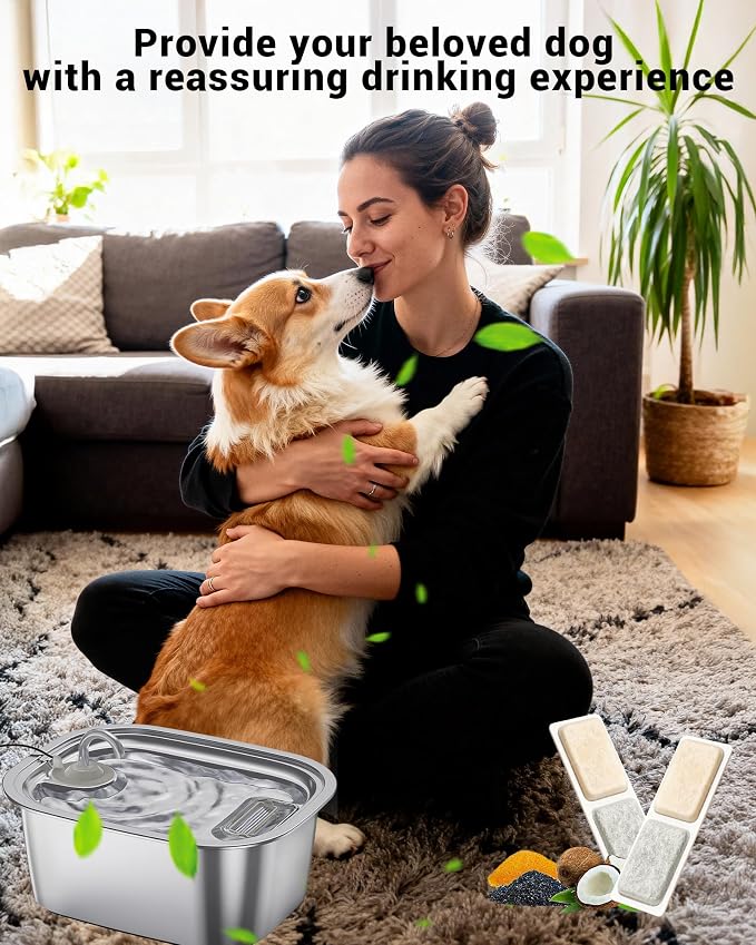 Replacement Filters for PETDOTT Dog Fountain, Water Filter, for Stainless Steel Pet Fountain for Large Dogs- Vertical Filtration for D2431 Lasts Two Months