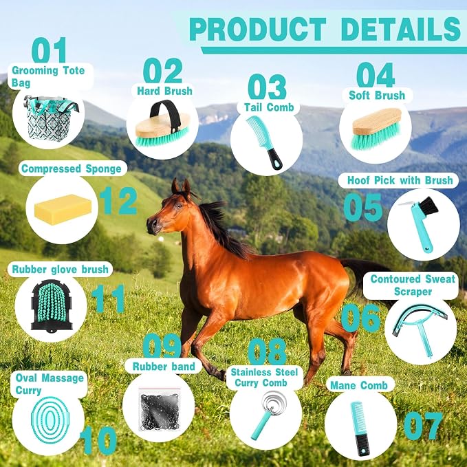Abbylike 12 Piece Horse Grooming Kit with Organizer Tote Bag Brush Sets for Derby Day Show Horses Professional Tools for Care & Massage(Mint Green and Grey)
