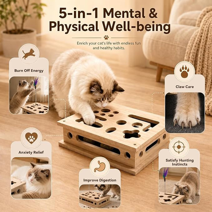 2026 New Cat Scratch Puzzle Enrichment Box, Interactive Cat Nail File Box with Catnip & Bell Ball, Cat Scratcher Toy with Teaser Wand, Stress-Free Alternative to Clippers & Grinders
