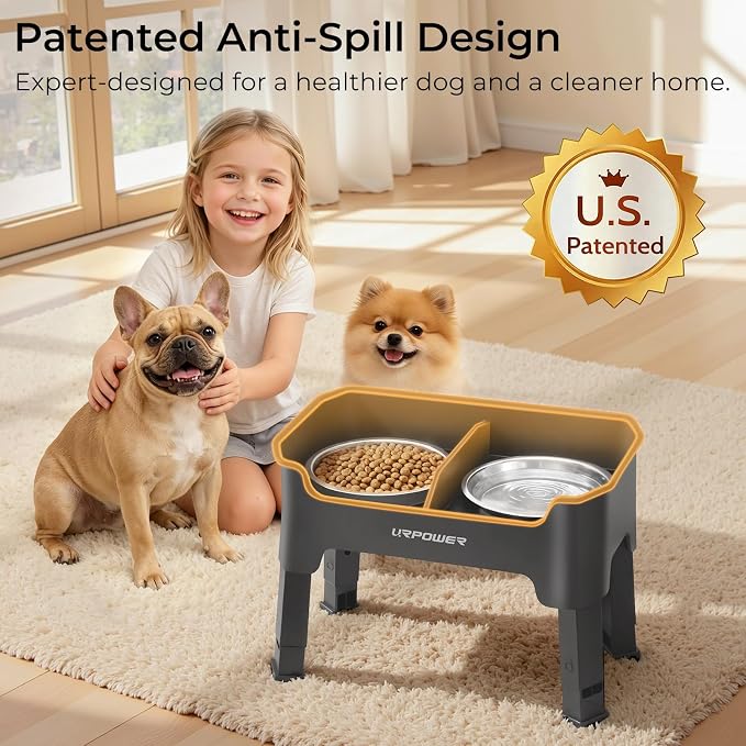URPOWER Mess Proof Elevated Dog Bowls, Splash Guard Raised Bowl Stand | 4 Adjustable Heights, 2 Stainless Steel Bowls, Food & Water Separation, Non-Slip Base, Foldable Design for Small Dogs