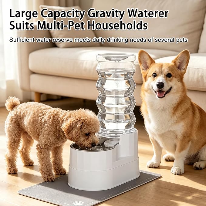 RIZZARI 8L Elevated Dog Water Dispenser: Senior Pets Filtered Hydration | Raised Stand Helps Reduce Neck Strain/Stainless Steel Bowl/Quiet Gravity-Fed Operation/for Multi-Pet Homes