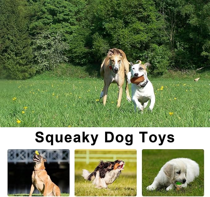 LEGEND SANDY Dog Squeaky Toys, Plush Small Dog Toys for Dogs, Stuffed with Squeakers,14 pcs Puppy Toys with a Carrying Bag for Small Medium Size
