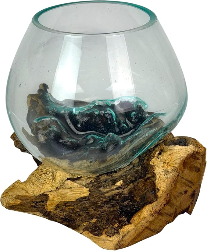 Planter Terrarium with Molten Glass Bowl on Driftwood, 7.5 Inch | Natural Base Varies by Piece, 3.5 Inch Opening, 4 Inch Center Depth, Freestanding for Shelves or Desks