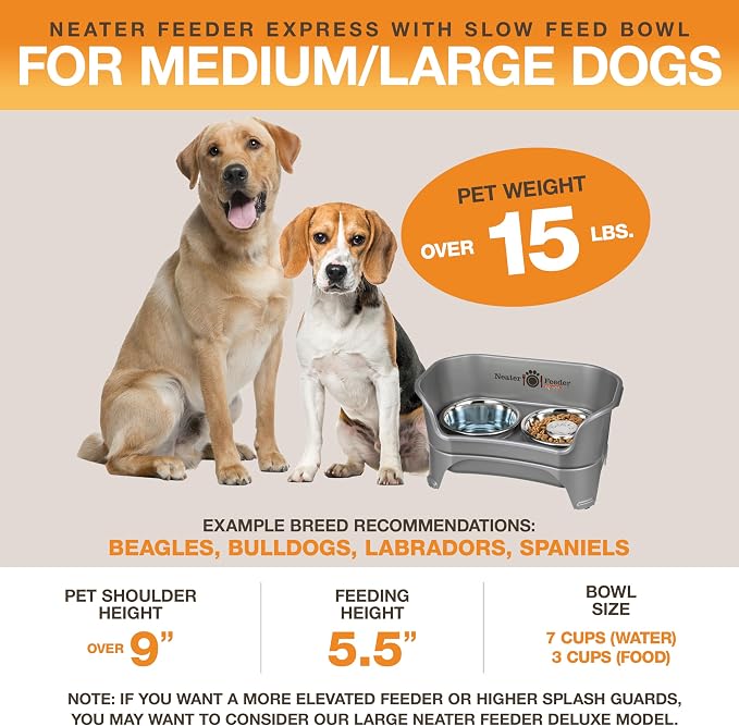 Neater Feeder - Express Model w/ Slow Feed Bowl - Mess-Proof Dog Bowls (M/L, Grey) Made in USA – Elevated, No Spill, Non-Tip, Non-Slip, Raised Stainless Steel Food/Water Pet Bowls Aid Digestion