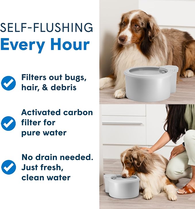Always Full® 9" Self-Refilling Dog Water Bowl with Wall Unit | Self-refilling filtered water with app-enabled hydration monitoring; easily upgradeable to the Always Full® Wall Unit.