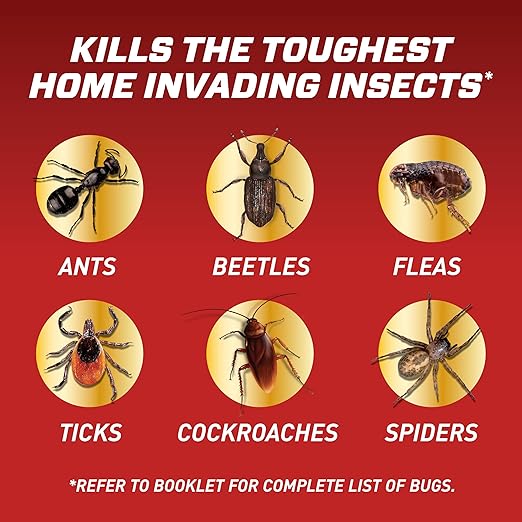 Ortho Home Defense Insect Killer for Indoor and Perimeter2 with Comfort Wand - Ready-To-Use Bug Spray, Kills Ants, Cockroaches & Spiders, 1.1 gal. (2-pack)