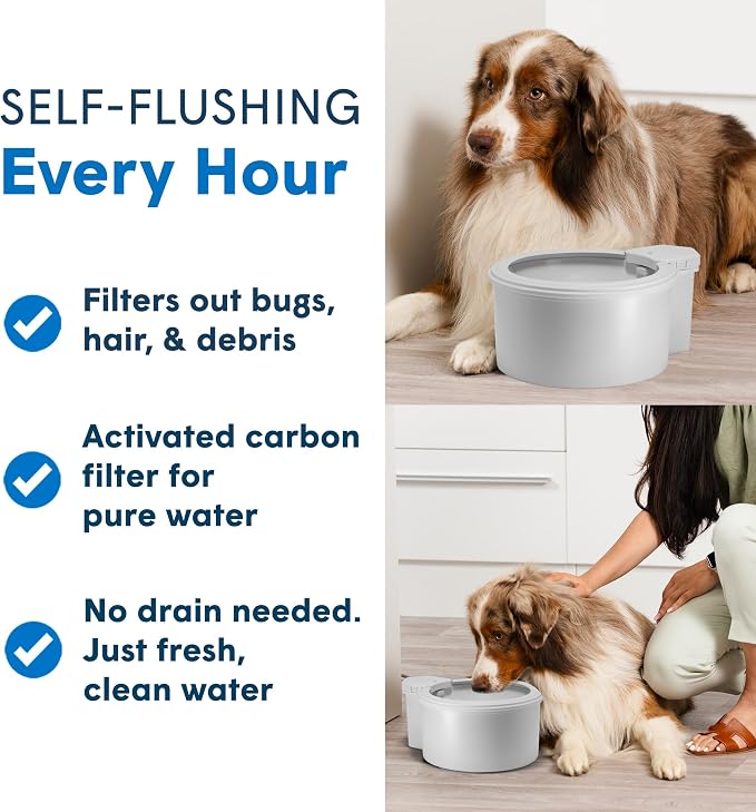 Always Full® 9" Self-Refilling Dog Water Bowl & Bottle Pump Bundle | Self-refilling filtered water with app-enabled hydration monitoring; easily upgradeable to the Always Full® Wall Unit.