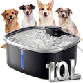 Dog Water Fountain Indoor Homes Stainless Steel 10L/2.64GAL Plug in Plastic Reservoir Stainless Steel Water Bowl Filtered Multi-Pet Quiet Large Black Plug-in &1Filter