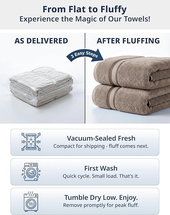 LANE LINEN Luxury Bath Towel Set - 6 Piece Set, 100% Cotton Bathroom Towel, Zero Twist, Shower Towel, Extra Absorbent, Super Soft, 2 Bath, 2 Hand, 2 Wash Cloths - Platinum