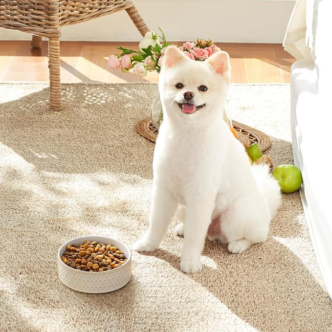 MALACASA Ceramic Dog Food Bowl, Water Dish for Small Breeds, 1.5 Cups | Honeycomb Pattern, Ceramic Pet Bowl, Food and Water Dish, Dishwasher and Microwave Safe, for Small Dogs and Cats