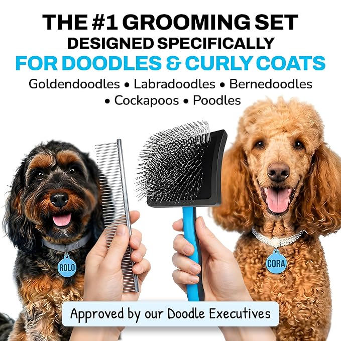 The Doodle Brush Grooming Kit, Slicker Dog Brush and Finishing Comb Set, Detangler & Dematting Grooming Tools for Dogs, Extra Long Pin Slicker & Metal Comb for Goldendoodle, Cockapoo, Cavapoo, Poodle