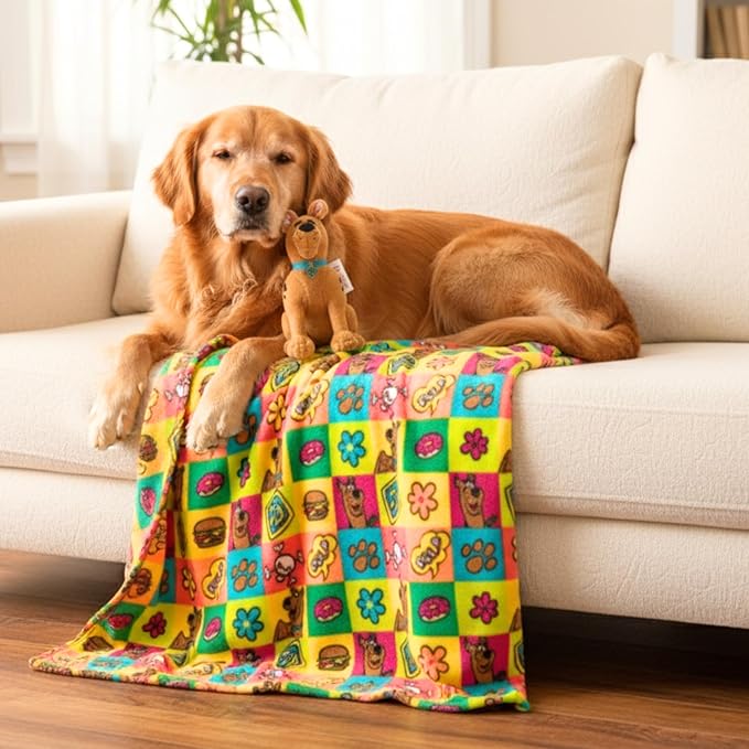 Scooby Doo Pet Throw & Squeaky Pillow Set, Stimulating Toy As Gifts for Puppies, Cats, Dogs, (Officially Licensed) By Franco