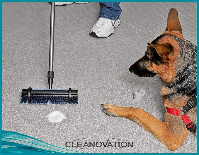 Rug Renovator Floor Scrub Brush with Long Handle, Scrape Brush Stiff Bristle Scrubber, Cleaning for carpet pet stains and odors, 32 Fl oz Carpet Shampoo