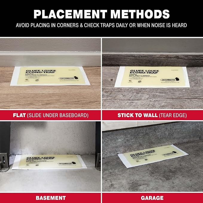 Catchmaster Gluee Louee Rat Extra Large Traps 30-PK, Heavy Duty Glue Trap, Mouse Traps for Home, Pest Control Adhesive Glue Boards for Inside House, Snake, Mice, & Spider Trap