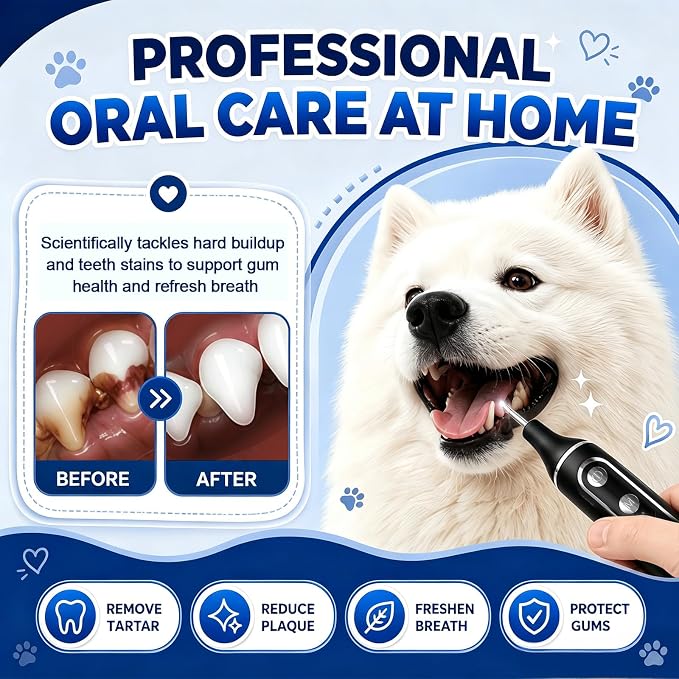 Vtiisamao Plaque Remover for Teeth, Electric Pet Teeth Cleaning Kit with LED Light & 5 Adjustable Modes, Professional Dental Tools for Tartar and Stains Removal, Suitable for Dogs and Cats