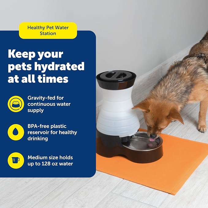 PetSafe Healthy Pet Water Station, 128 oz, Stainless Steel Bowl, Medium | Gravity-Fed Pet Water Fountain Keeps Cats or Small Dogs Hydrated, Stainless Steel Bowl Is Dishwasher Safe