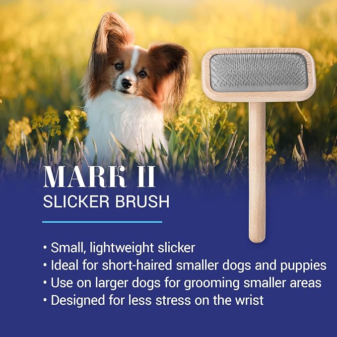 Chris Christensen Mark II Slicker Brush for Dogs, 12mm Pins, Groom Like a Pro, Handcrafted Lightweight Beechwood Ergonomic Handle, Stainless Steel Pins, A5II Small. Made in Germany.