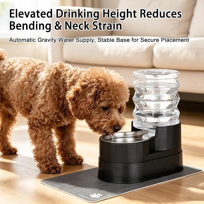 RIZZARI 5L Automatic Cat Water Dispenser: Elevated Filtered Cat Bowl | Durable Construction/Stable Base/Gravity Water Flow/Odor Reduction Filter/Elevated Drinking Position/Ideal for Indoor Spaces