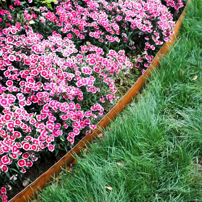 16.4ft Cor-Ten Steel Landscape Edging, 5.5" H Garden Edging Border | Metal Edging for Landscaping, Flexible Lawn Edging, Metal Edging for Pathway, Yard