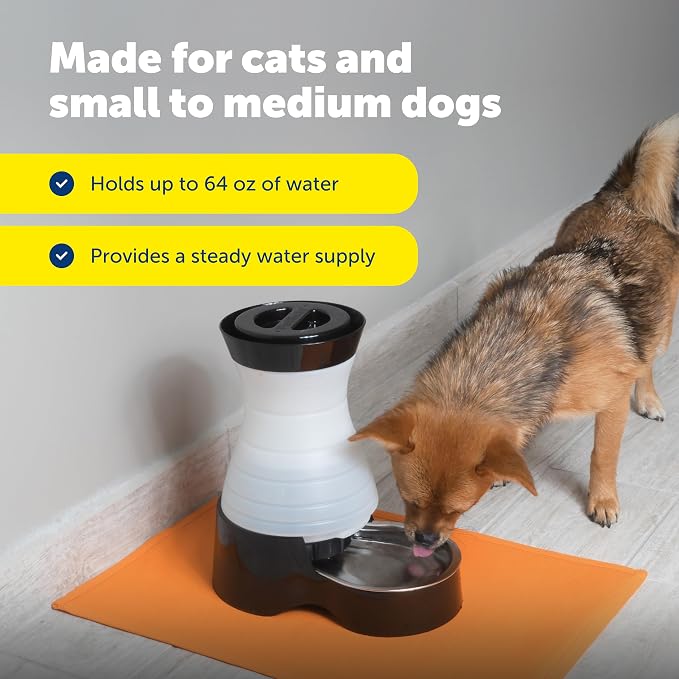 PetSafe Healthy Pet Food & Water Station, Small, 2-Pack Filters | Gravity Food & Water Station, 2 lb food, 64 oz Water, Dishwasher-Safe Stainless Bowl, Extra Filters