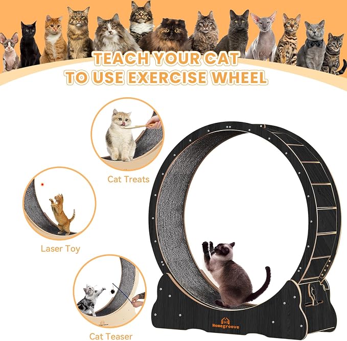 Homegroove Cat Wheels for Indoor Cats, 43" Large Cat Exercise Running Treadmill Wheel with Carpeted Runway for Kitty’s Longer Life, Black(L)