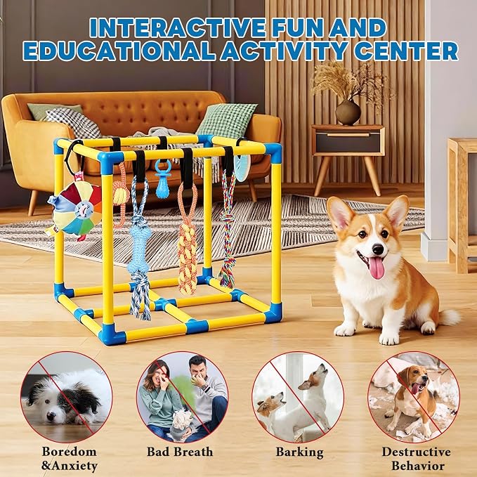 WLLEYAY Puppy Play Gym for Small Dogs 10 Hanging Toys,Interactive Dog Toys | Removable Indoor Jungle Gym,PVC Frame With Adjustable Bungee Straps, Interactive Tug Toys,Dogs Rope Toy To Keep Them Busy
